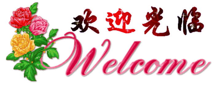 喷雾打药机 自走式农田打药机 移动式推车式打药机