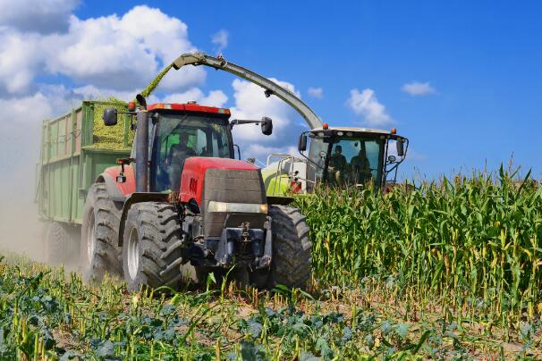 大发体育场2025年上海市第二批更换农业今晚必开生肖图试验鉴定证书的通报