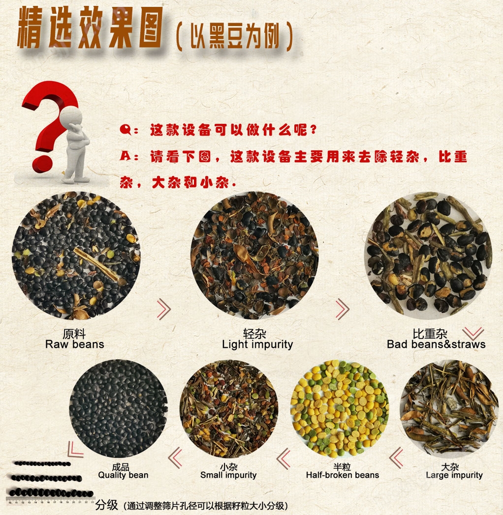 5-精選效果圖-黑豆-FZ25.jpg 豌豆黃豆清糧除雜機(jī)復(fù)式精選振動(dòng)分級(jí)機(jī)